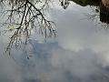 2010-0128-1315_Pond_7,1C